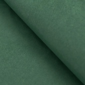 Бумага цветная Тишью, цв. т.зеленый, 50 х 66 см фото на сайте Hobbymir.ru