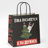 Пакет подарочный «А ты держись», 22 × 22 × 11 см фото на сайте Hobbymir.ru