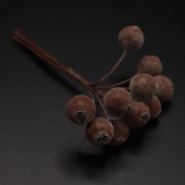 Декоративные ягодки в инее, цвет коричневый фото на сайте Hobbymir.ru