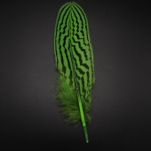 Перо для декора, 14-20см, цвет зеленый фото на сайте Hobbymir.ru