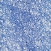 Фетр флористический 50см Х 1м (капли на синем фоне) фото на сайте Hobbymir.ru