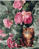 Картина по номерам "Розы и котёнок", 40х50, арт.ZX23013		 фото на сайте Hobbymir.ru