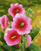 Картина по номерам "Розовая мальва", 40х50, арт.ZX 21502 фото на сайте Hobbymir.ru